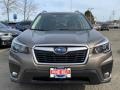 Sepia Bronze Metallic - Forester 2.5i Premium Photo No. 3