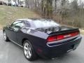 Blackberry Pearl - Challenger R/T Plus Photo No. 6