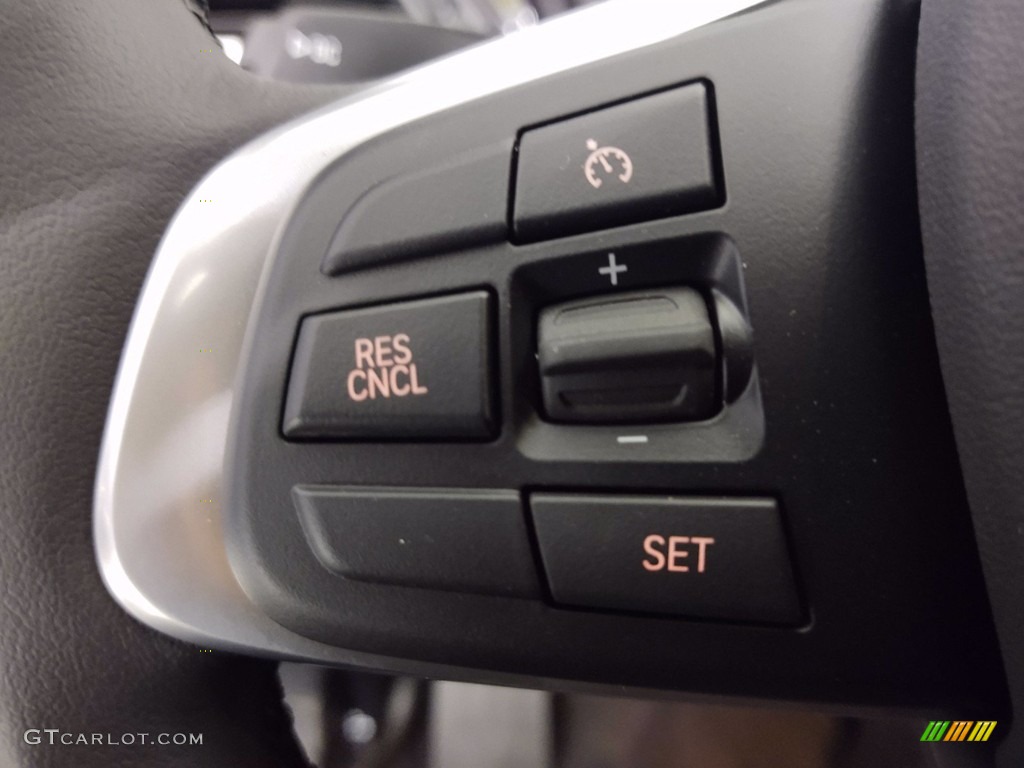 2021 BMW X1 sDrive28i Black Steering Wheel Photo #141219697