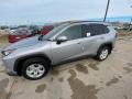 Silver Sky Metallic - RAV4 XLE AWD Photo No. 1