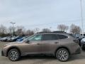 Brilliant Bronze Metallic - Outback 2.5i Premium Photo No. 4
