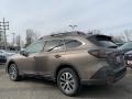 Brilliant Bronze Metallic - Outback 2.5i Premium Photo No. 6