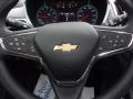 Mosaic Black Metallic - Equinox LS AWD Photo No. 19