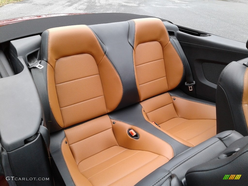 2019 Ford Mustang EcoBoost Convertible Rear Seat Photos