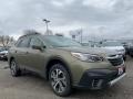 Autumn Green Metallic 2021 Subaru Outback 2.5i Limited