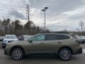 Autumn Green Metallic - Outback 2.5i Premium Photo No. 3