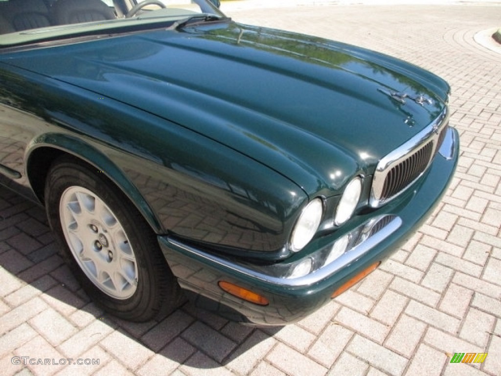 1998 XJ XJ8 - British Racing Green / Oatmeal photo #31