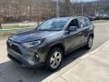 Lunar Rock - RAV4 XLE AWD Hybrid Photo No. 13