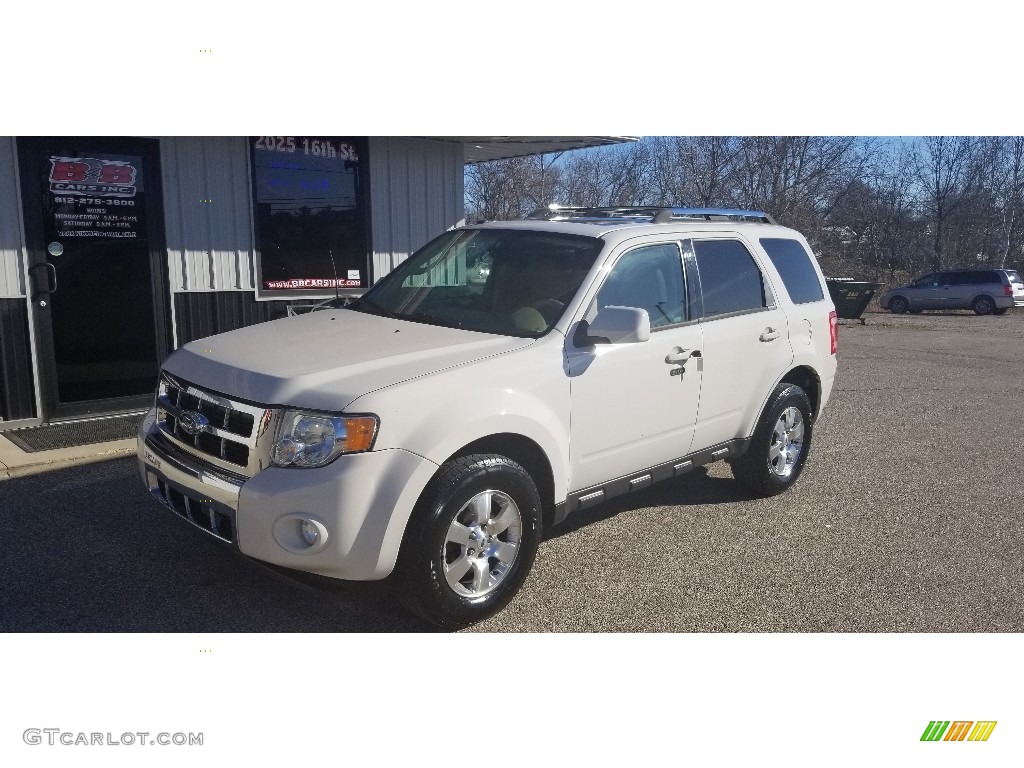 Ingot Silver Metallic Ford Escape