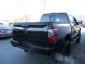 Magnetic Black - Titan PRO-4X Crew Cab 4x4 Photo No. 5