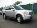 2009 Brilliant Silver Metallic Ford Escape Hybrid  photo #4