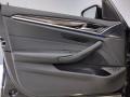 Black 2019 BMW 5 Series 530e iPerformance Sedan Door Panel