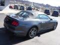 Magnetic Metallic - Mustang EcoBoost Premium Convertible Photo No. 11