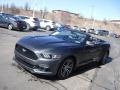 Magnetic Metallic - Mustang EcoBoost Premium Convertible Photo No. 12