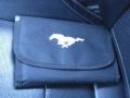 Magnetic Metallic - Mustang EcoBoost Premium Convertible Photo No. 25