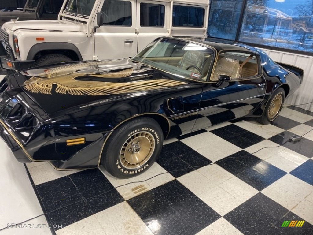 1981 Firebird Trans Am Coupe - Black / Camel Tan photo #1