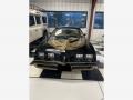  1981 Firebird Trans Am Coupe Black