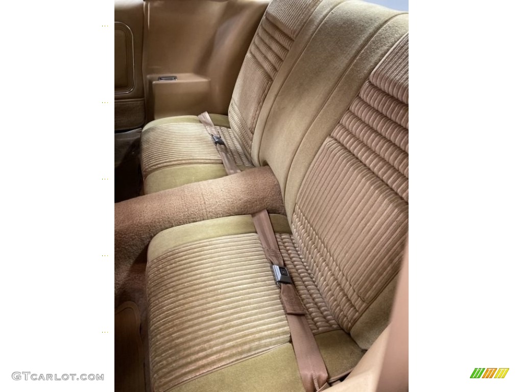 1981 Pontiac Firebird Trans Am Coupe Interior Color Photos