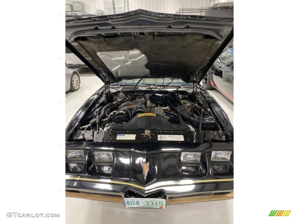 1981 Firebird Trans Am Coupe - Black / Camel Tan photo #7