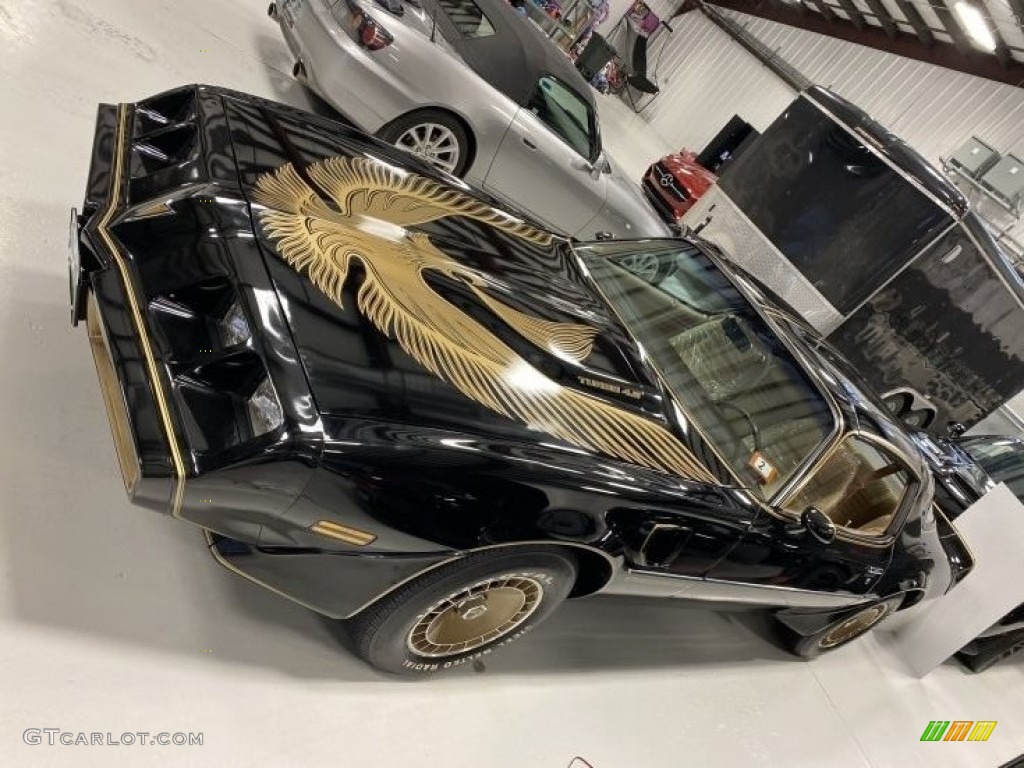 Black 1981 Pontiac Firebird Trans Am Coupe Exterior Photo #141256882