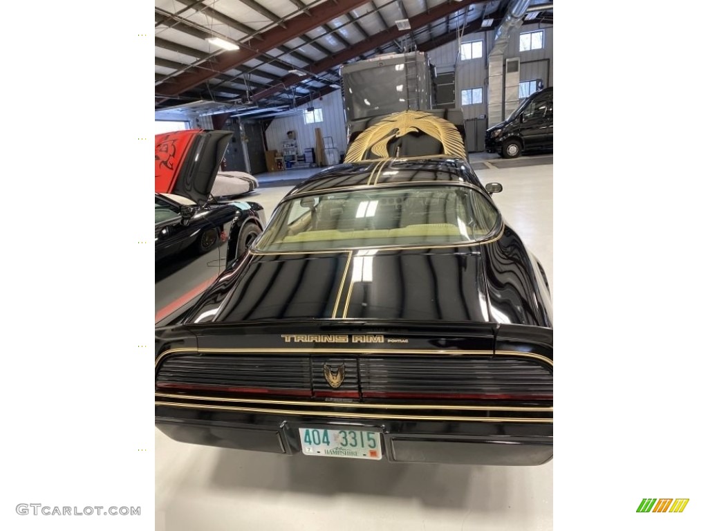 1981 Firebird Trans Am Coupe - Black / Camel Tan photo #9
