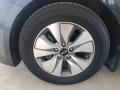 Platinum Graphite - Optima Hybrid Photo No. 14
