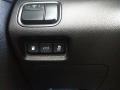 Platinum Graphite - Optima Hybrid Photo No. 21