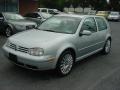Reflex Silver - GTI VR6 Photo No. 3