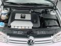 Reflex Silver - GTI VR6 Photo No. 10
