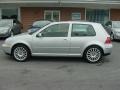 Reflex Silver - GTI VR6 Photo No. 12