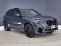 Arctic Gray Metallic 2021 BMW X5 sDrive40i
