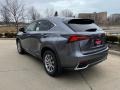 Nebula Gray Pearl - NX 300h AWD Photo No. 4