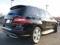 Black - ML 350 4Matic Photo No. 10