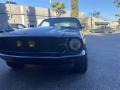 Raven Black - Mustang Fastback Photo No. 10