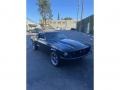 Raven Black - Mustang Fastback Photo No. 18