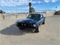 Raven Black - Mustang Fastback Photo No. 25