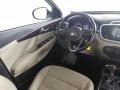 Snow White Pearl - Sorento LX Photo No. 15