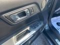 Magnetic - Mustang EcoBoost Premium Convertible Photo No. 20