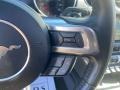 Magnetic - Mustang EcoBoost Premium Convertible Photo No. 27