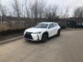 2021 Eminent White Pearl Lexus UX 250h AWD  photo #1