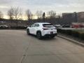 Eminent White Pearl - UX 250h AWD Photo No. 4