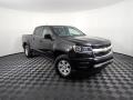 Black - Colorado WT Crew Cab 4x4 Photo No. 3