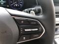 Steel Graphite - Palisade SEL AWD Photo No. 11