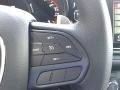 DB Black - Durango GT AWD Photo No. 19