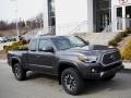 Magnetic Gray Metallic 2019 Toyota Tacoma TRD Off-Road Access Cab 4x4