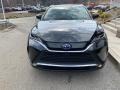 Celestial Black - Venza Hybrid Limited AWD Photo No. 11