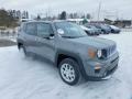 2021 Sting-Gray Jeep Renegade Latitude 4x4  photo #3