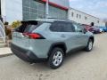 Lunar Rock - RAV4 XLE AWD Hybrid Photo No. 13