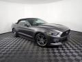 Magnetic - Mustang EcoBoost Premium Convertible Photo No. 4