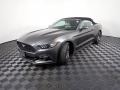 Magnetic - Mustang EcoBoost Premium Convertible Photo No. 10